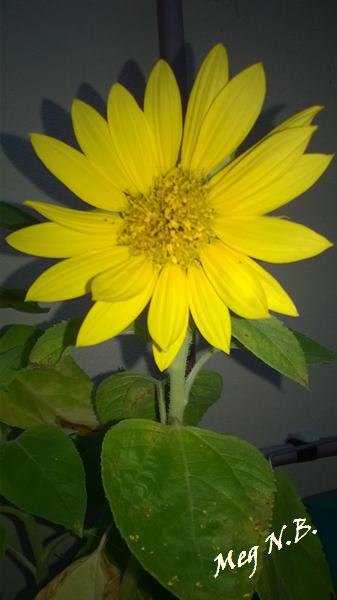 WP_20140831_002