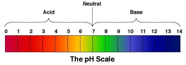 ph-scasle