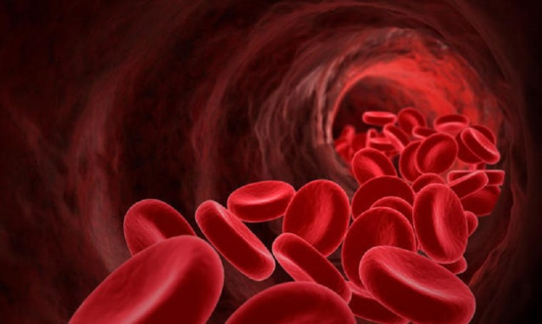 purificare-il-sangue