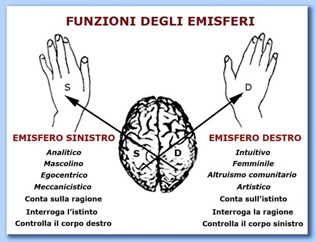 funzioni_emisferi