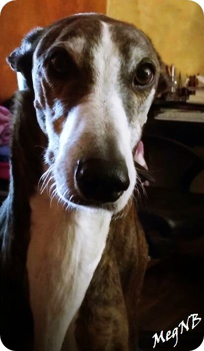 altAheNTjhz_SqiXR1w8GtwB_pVKN0ahVl5wxf9DblsmfvJ