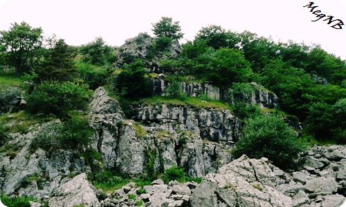 IMG-20150710-WA0007