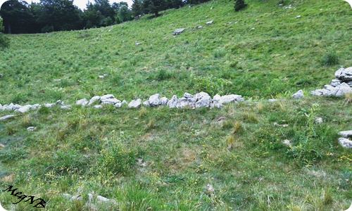 IMG-20150710-WA0011