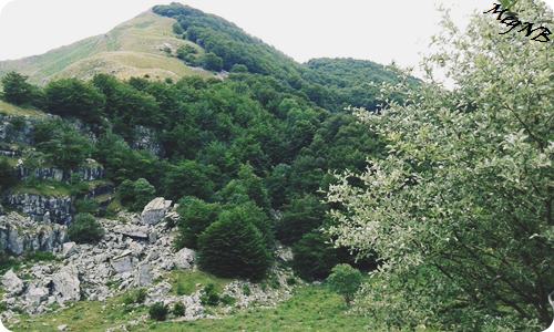 IMG-20150710-WA0038