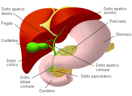 my-personaltrainer.it