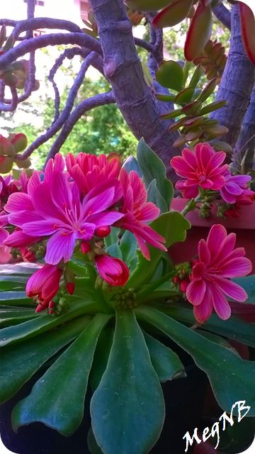 WP_20150502_001
