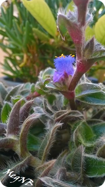 WP_20150510_003