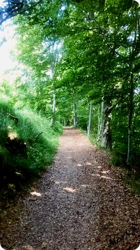 WP_20150710_021