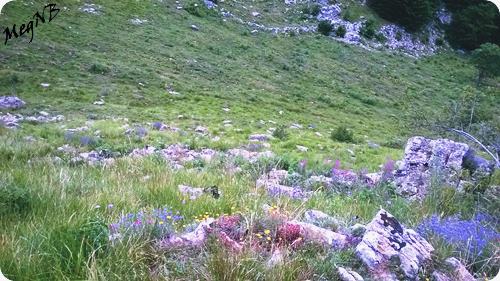 WP_20150710_030
