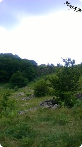 WP_20150710_031