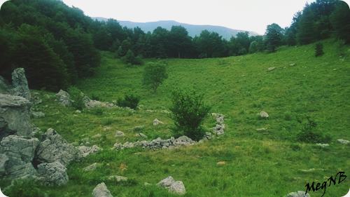 WP_20150710_037