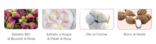 immagine_news_armonia_rosa_5