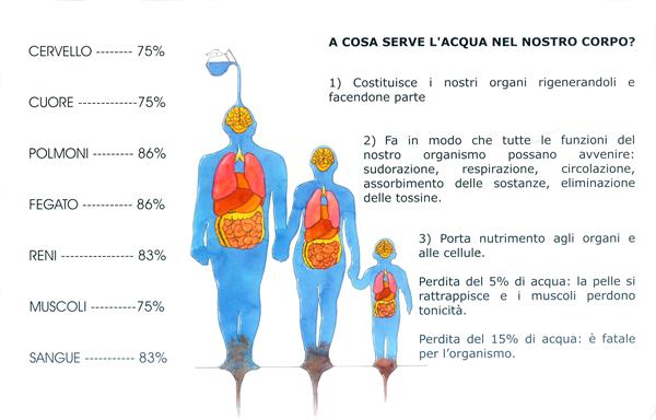 tavola-4-a-cosa-serve-lacqua-nel-corpo