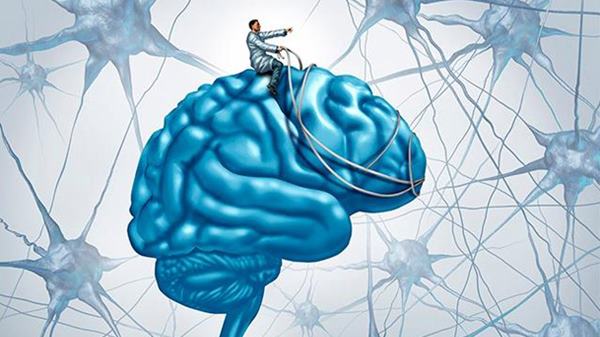 28c70ec4d70b35904891f8f2b00f3db3_article