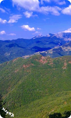 IMG-20150711-WA0015