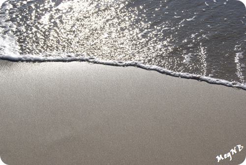 SONY DSC