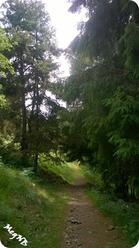WP_20150703_002