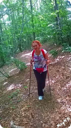 WP_20150703_020