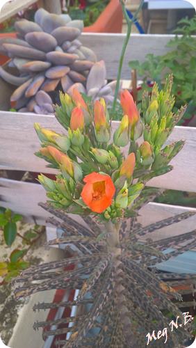 WP_20160104_14_24_24_Pro