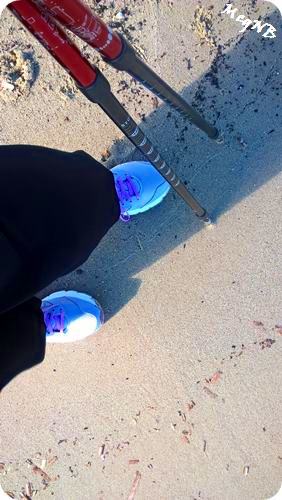 WP_20160125_13_17_16_Pro