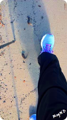 WP_20160125_13_17_42_Pro