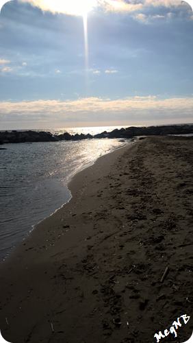 WP_20160125_13_17_56_Pro