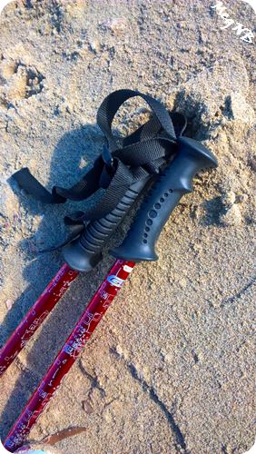 WP_20160125_13_20_15_Pro