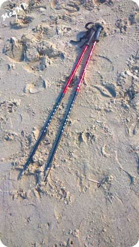 WP_20160125_13_20_31_Pro