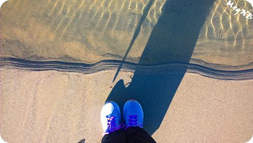 WP_20160125_13_35_50_Pro