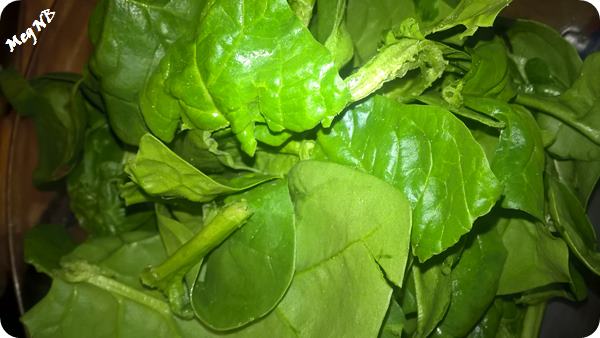 WP_20160127_16_05_24_Pro