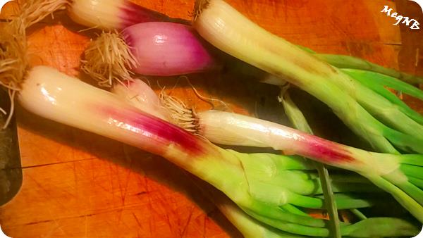 WP_20160127_16_26_13_Pro