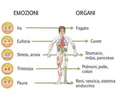 dionidream.com