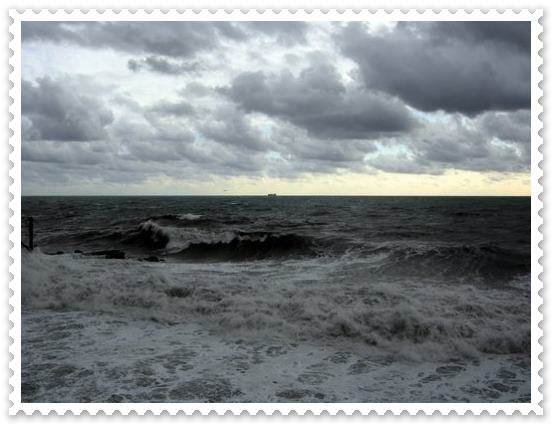 Immagine1 (2)