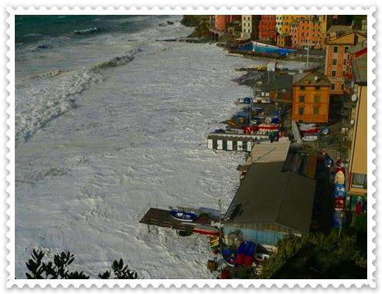 Immagine1 (3)