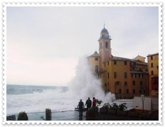 Immagine1
