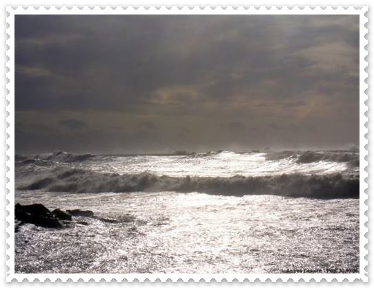 Immagine8 - Copia