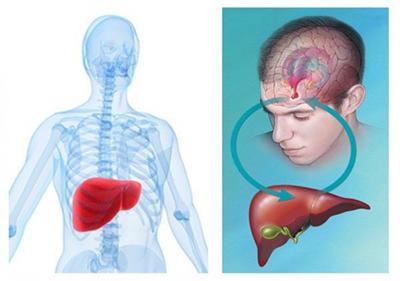 tecnologia-ambiente.it