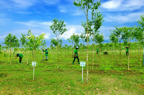 treedominvestments.wordpress.com