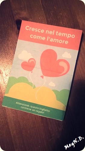 WP_20160330_10_47_16_Pro