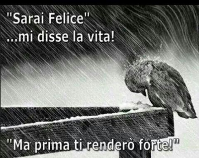 1d60503e594e298a45032add57706289