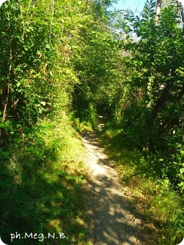 20160720_090519