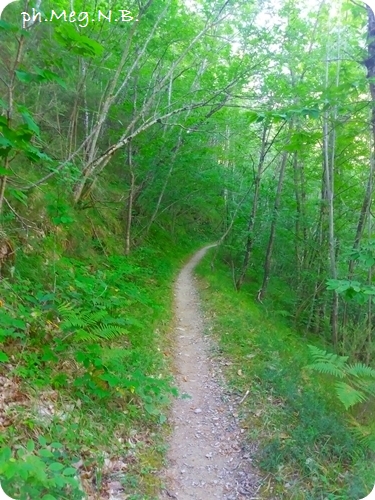 20160720_091904