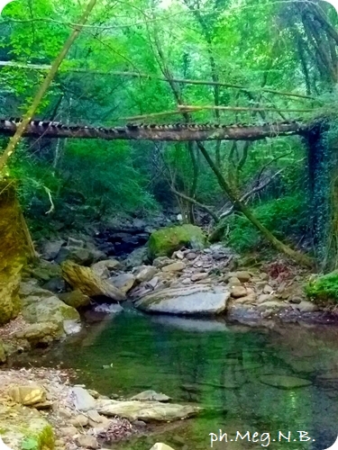 20160720_092815