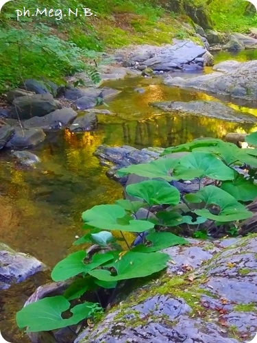 20160720_092835
