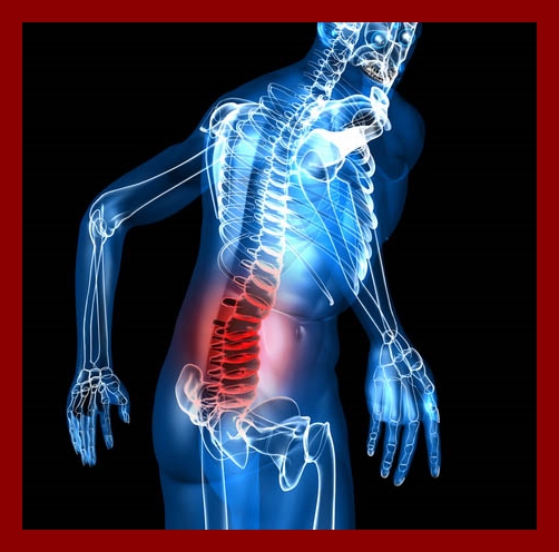 albofisioterapisti.com