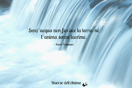 articolo-acqua