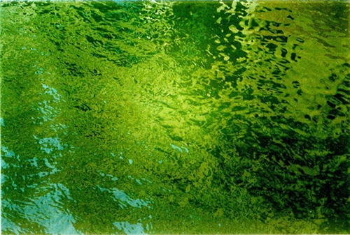 acquaverde